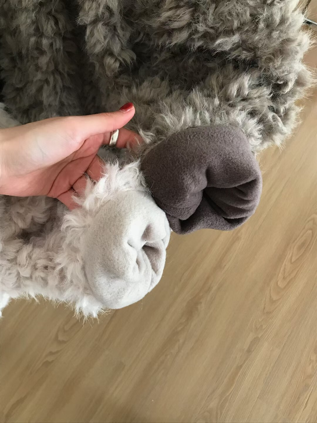 6d1eaefea7521a051b12d51467ad6c26