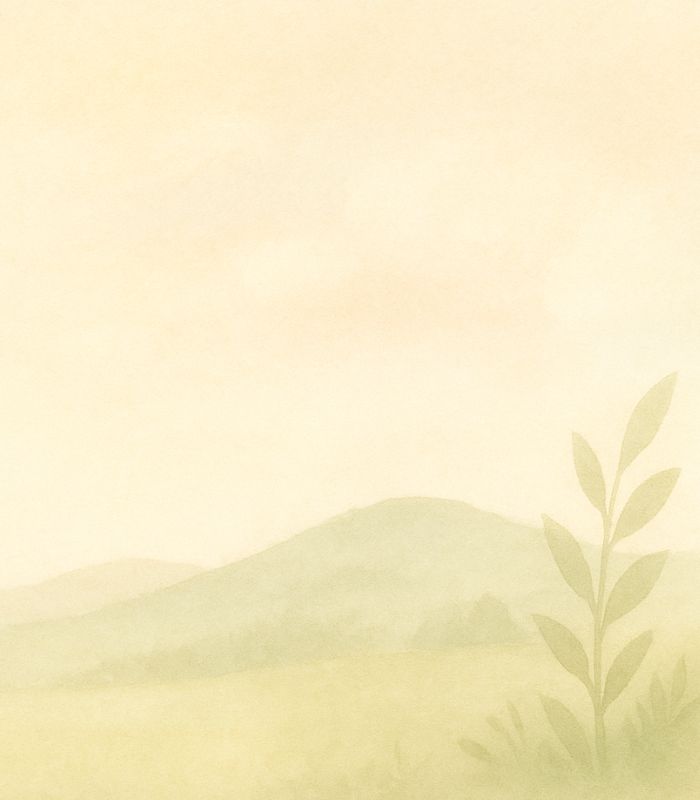 Life With Flowers and Greens | Chew Florist