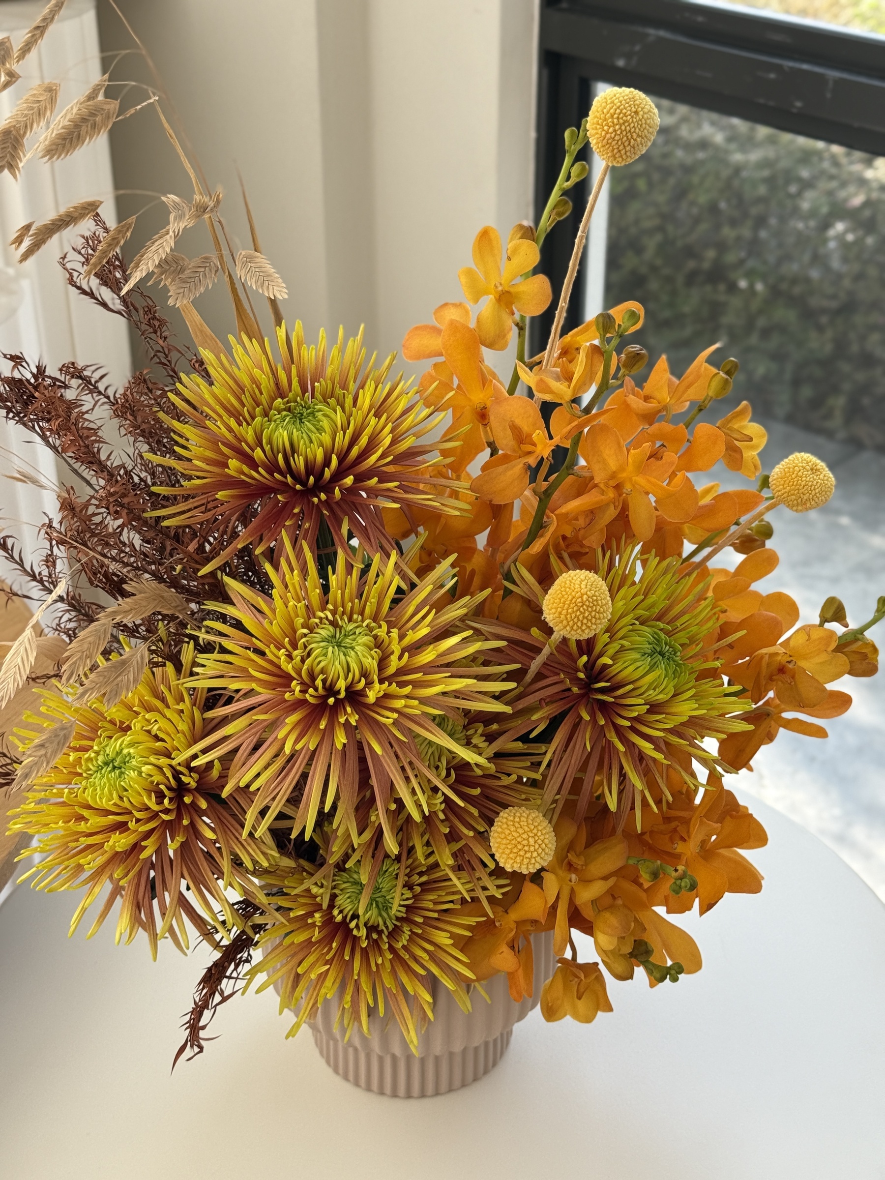 image_5053F190-F824-4CDE-868A-31F3100BBDB0_1773034336