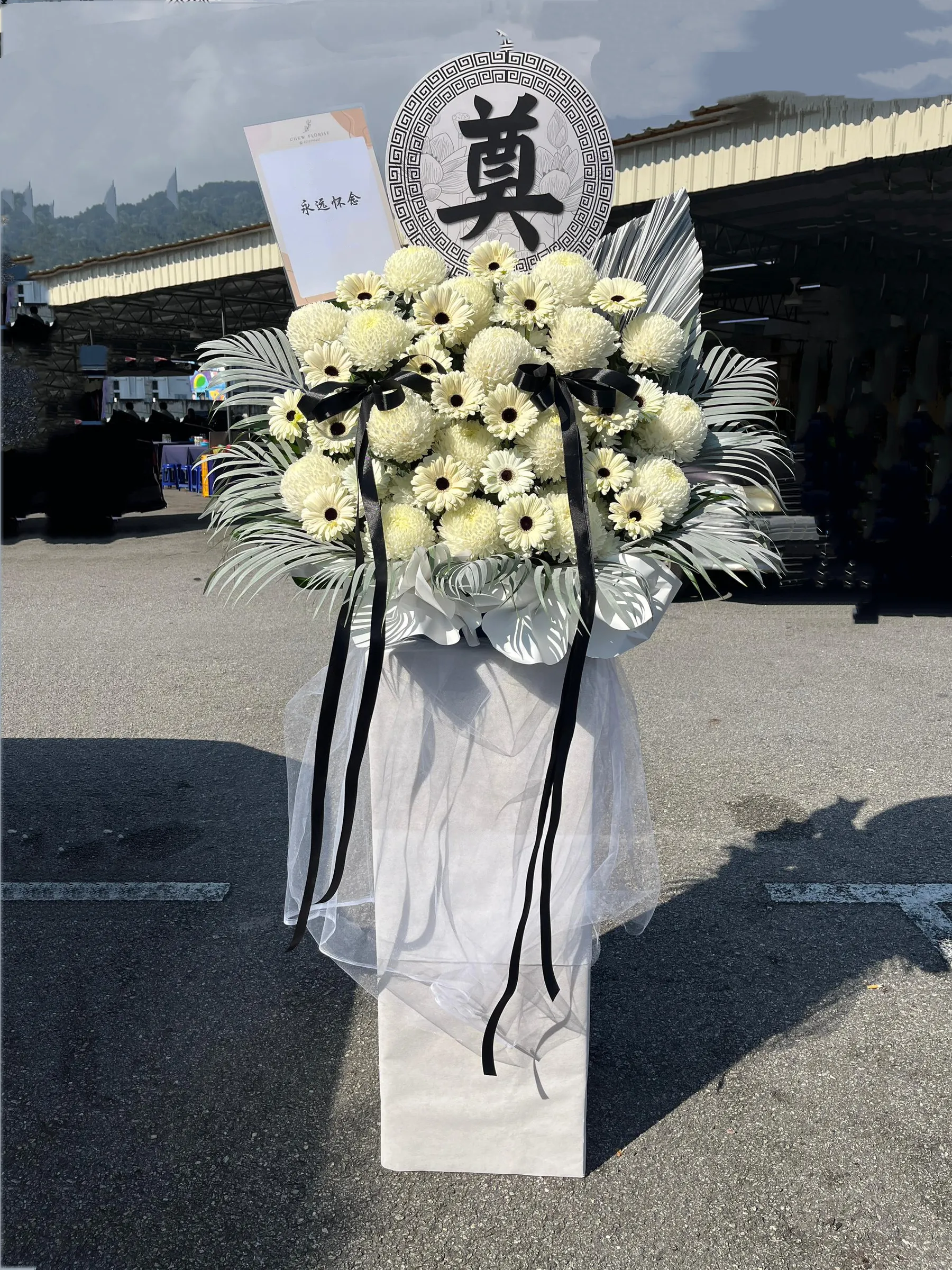 image_A1992560-40CA-4CAE-88E0-7CF510B25C32_1764603494