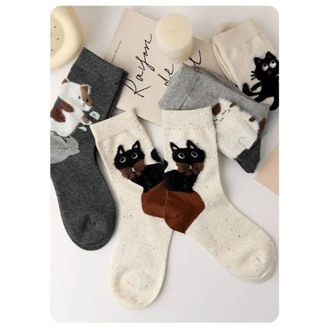 sg-11134201-824j9-mdzjsqgotjia04