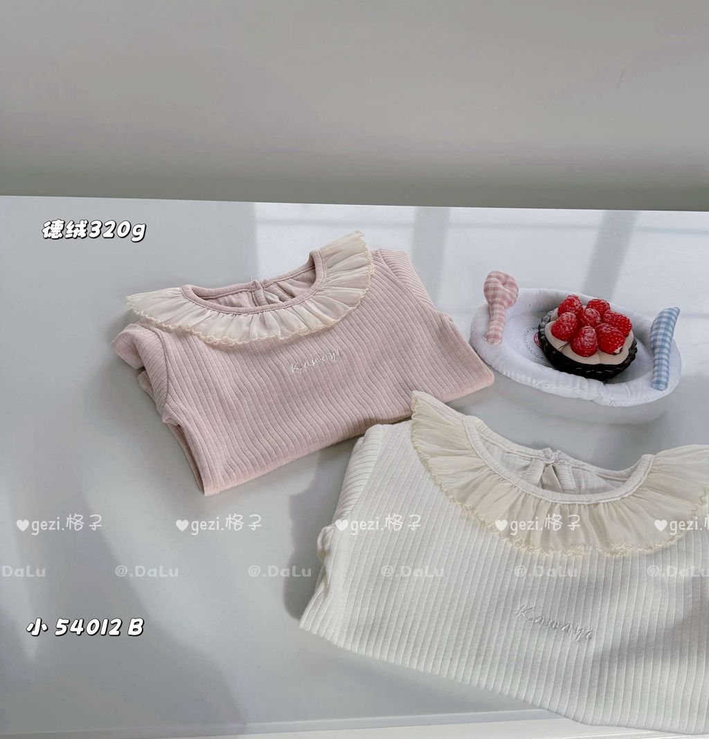 微信图片_20251114145549_306_2(1)