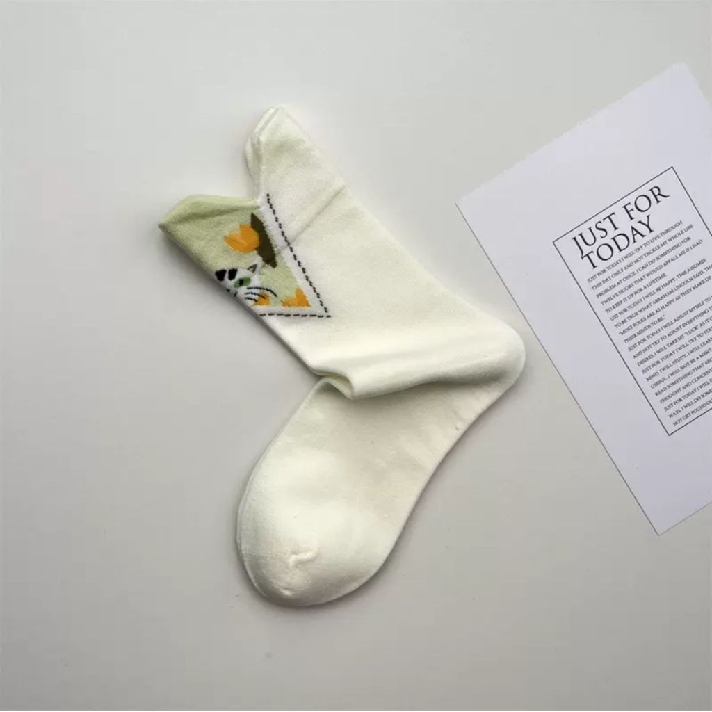 tw-11134207-81ztc-miseen2ko7i987