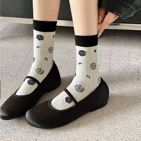 微信图片_20260111165121_658_2