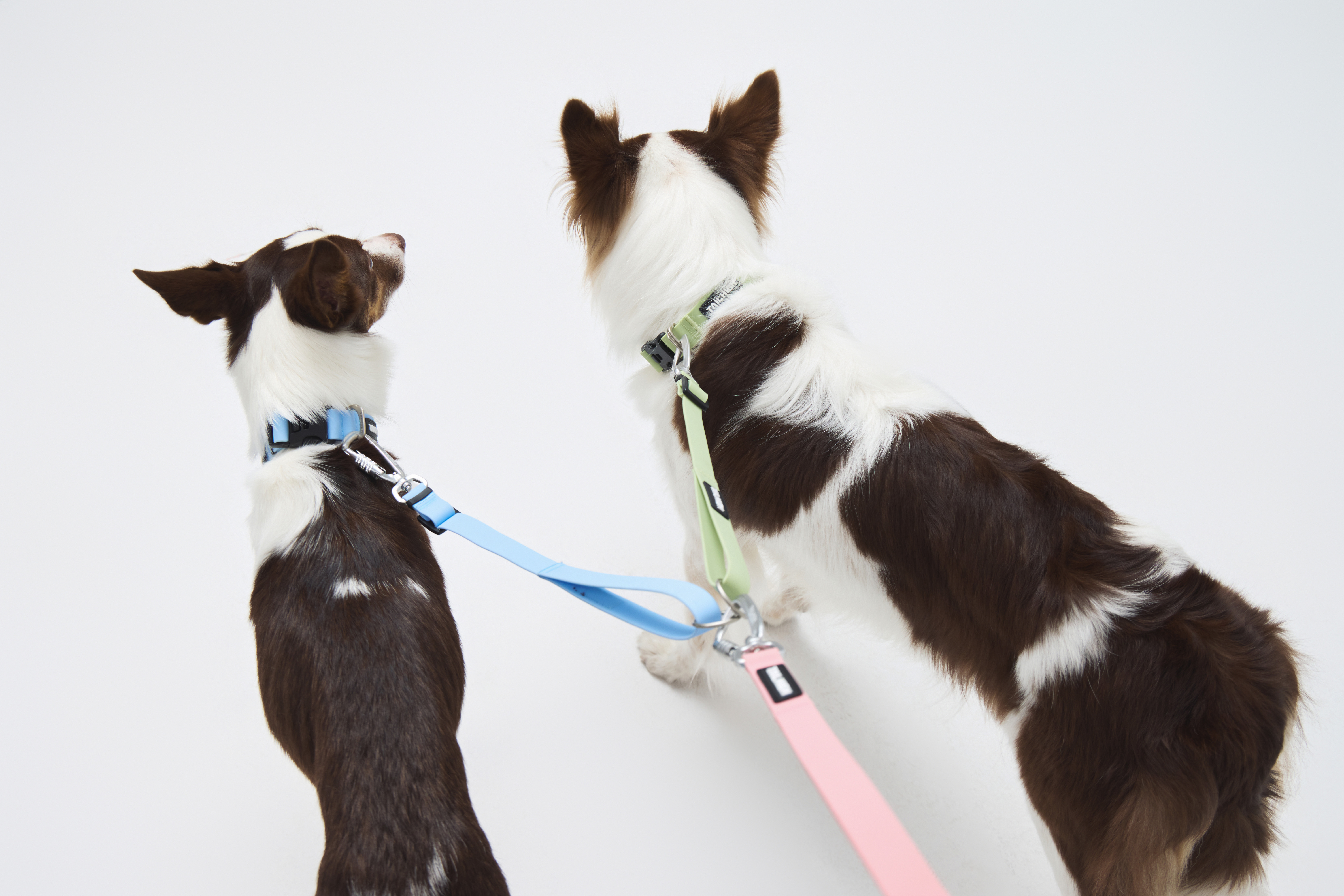 Hik-end Waterproof Traffic Leash3