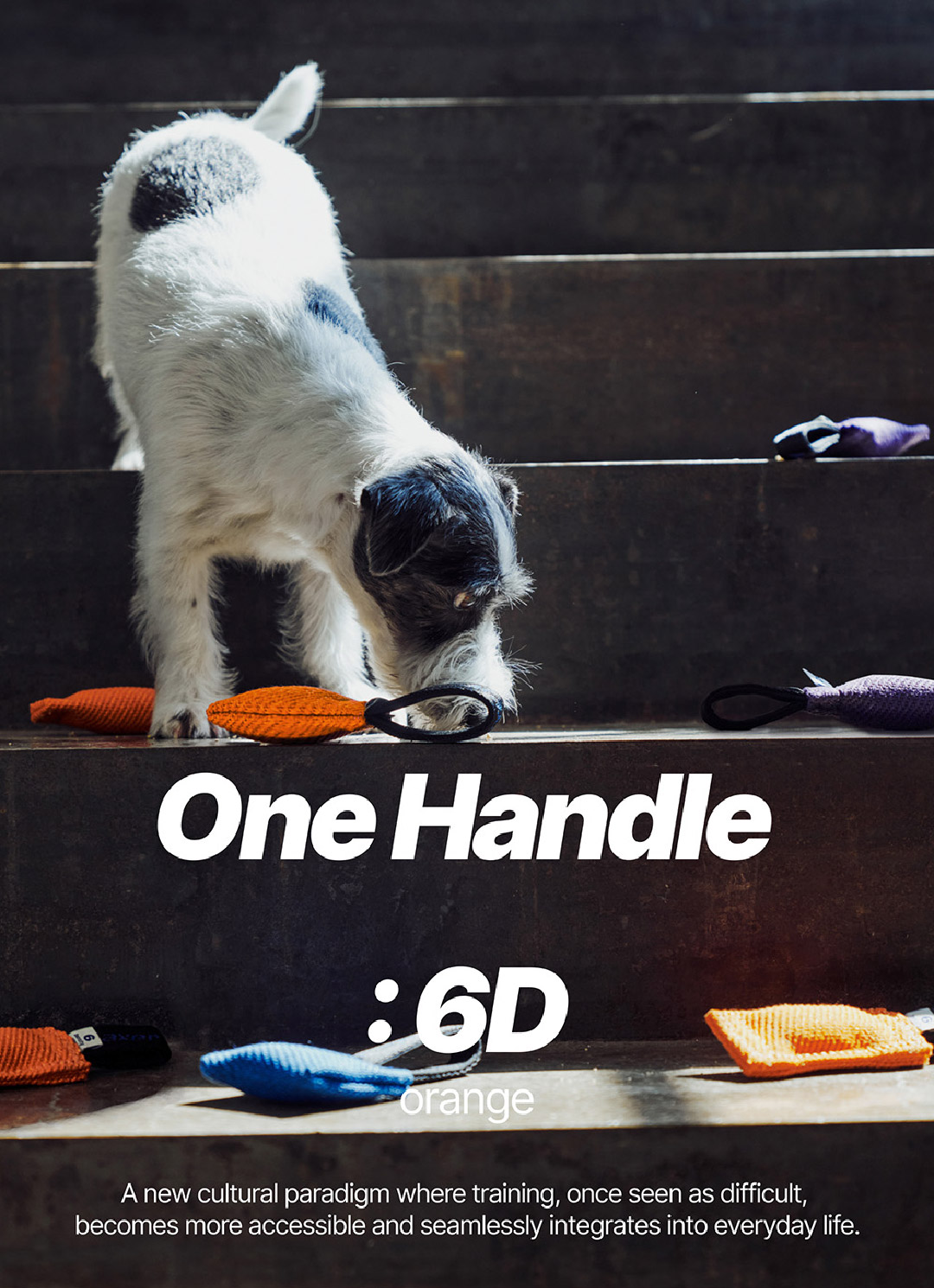 pruduct image_6D-1_O