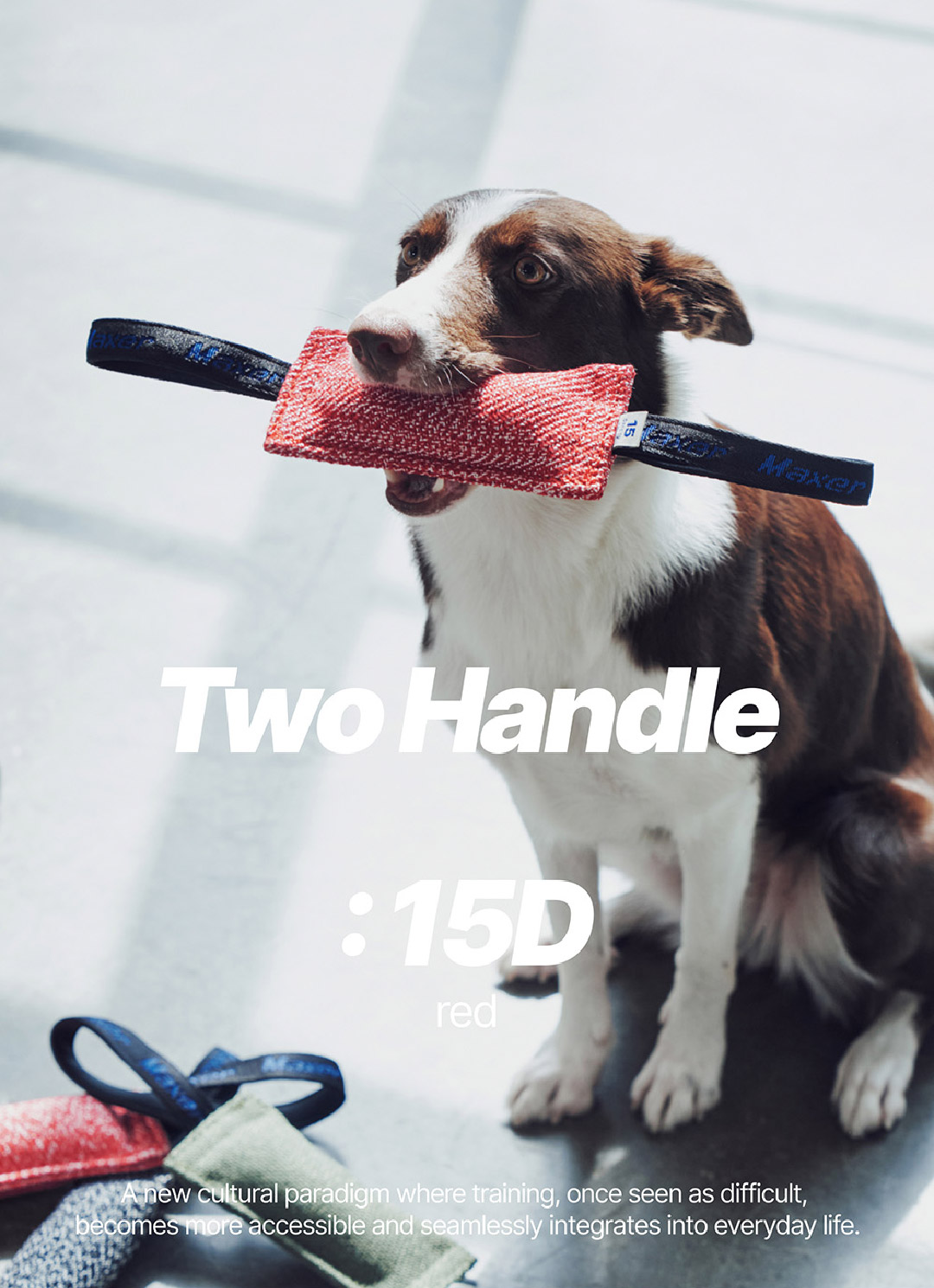 product image_15D-1_Red