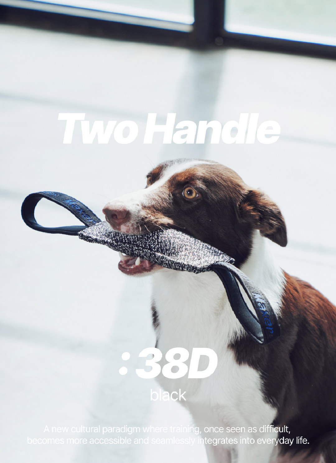 product image_38D-1_BK