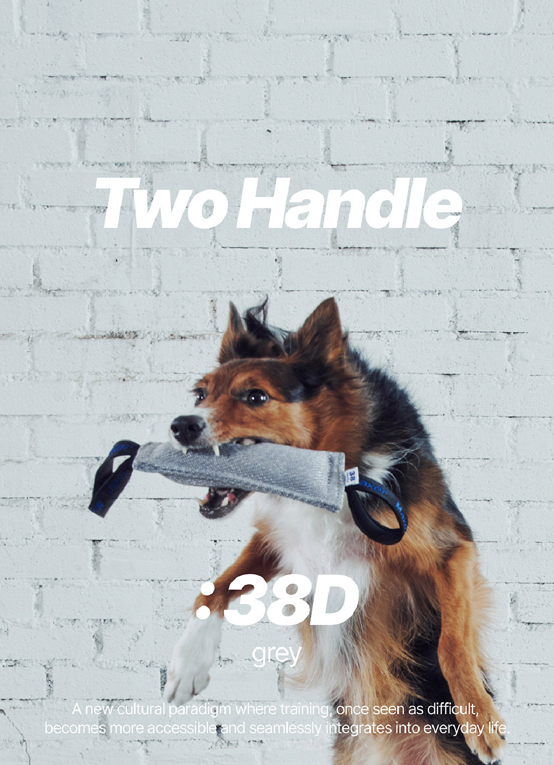 product image_38D-1_GR