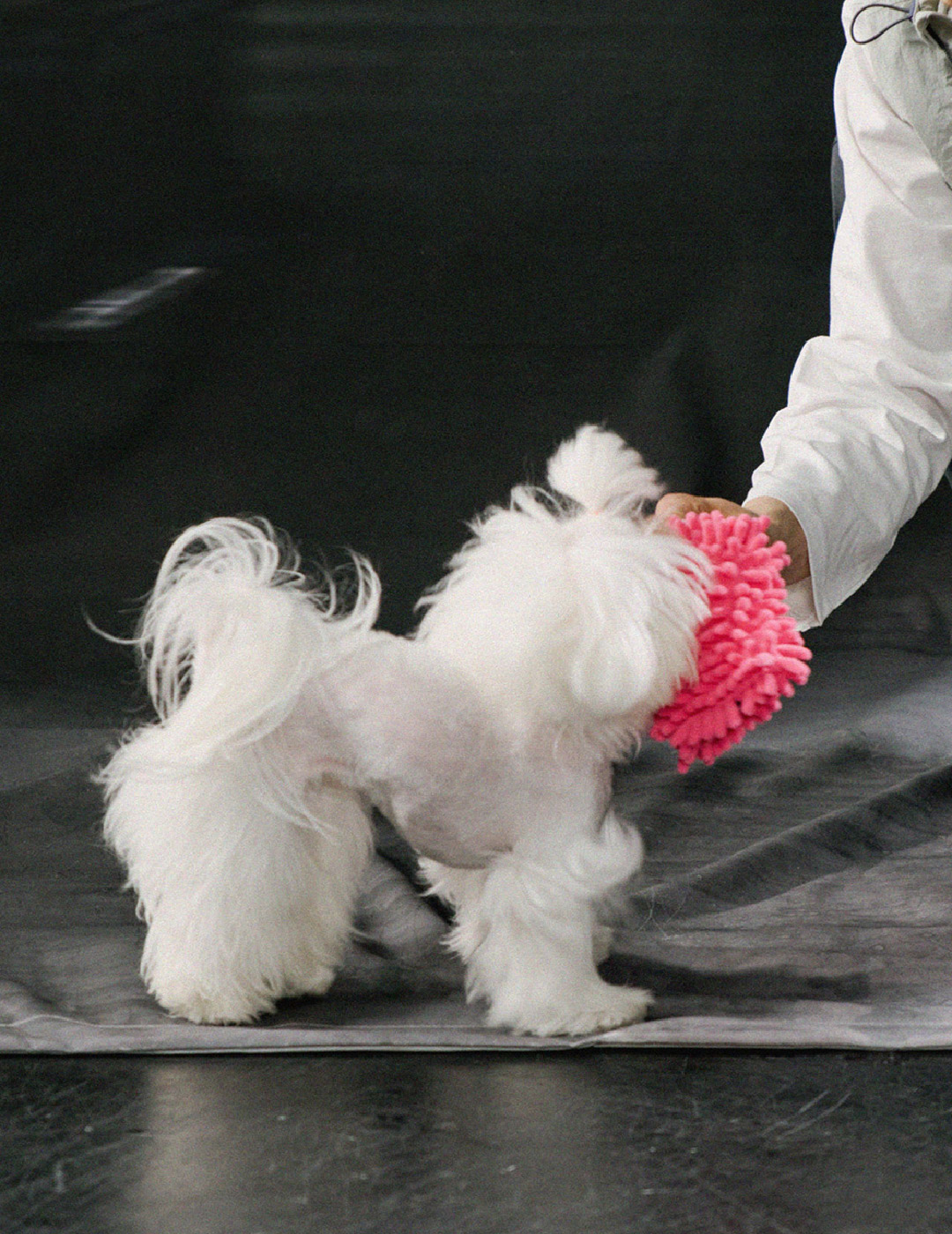 product image_9_Pink