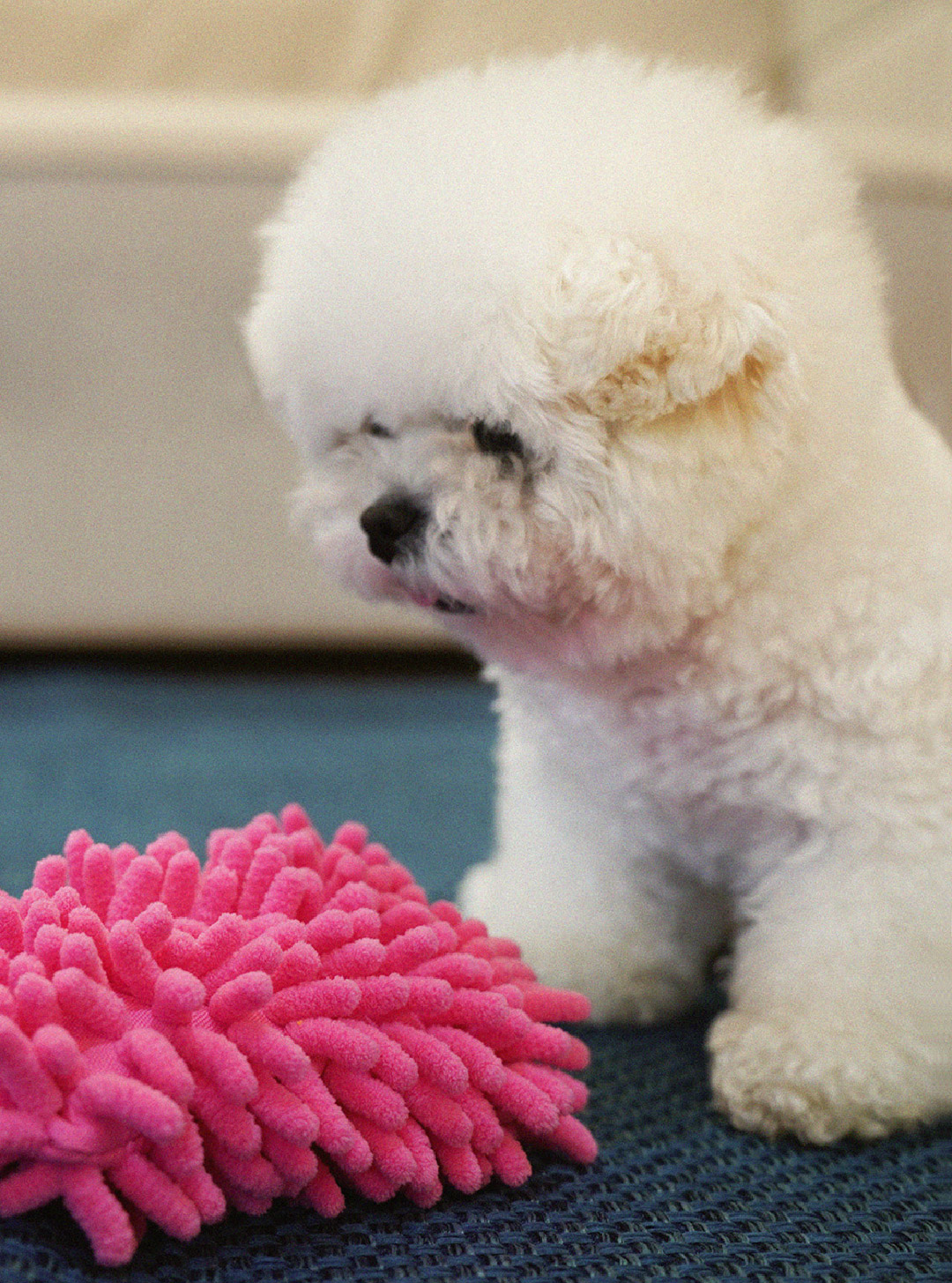 product image_11_Pink