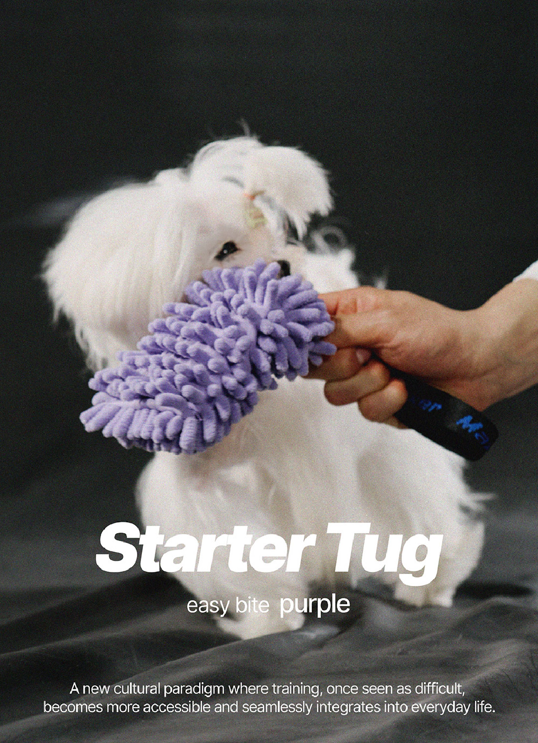 product image_1_Purple