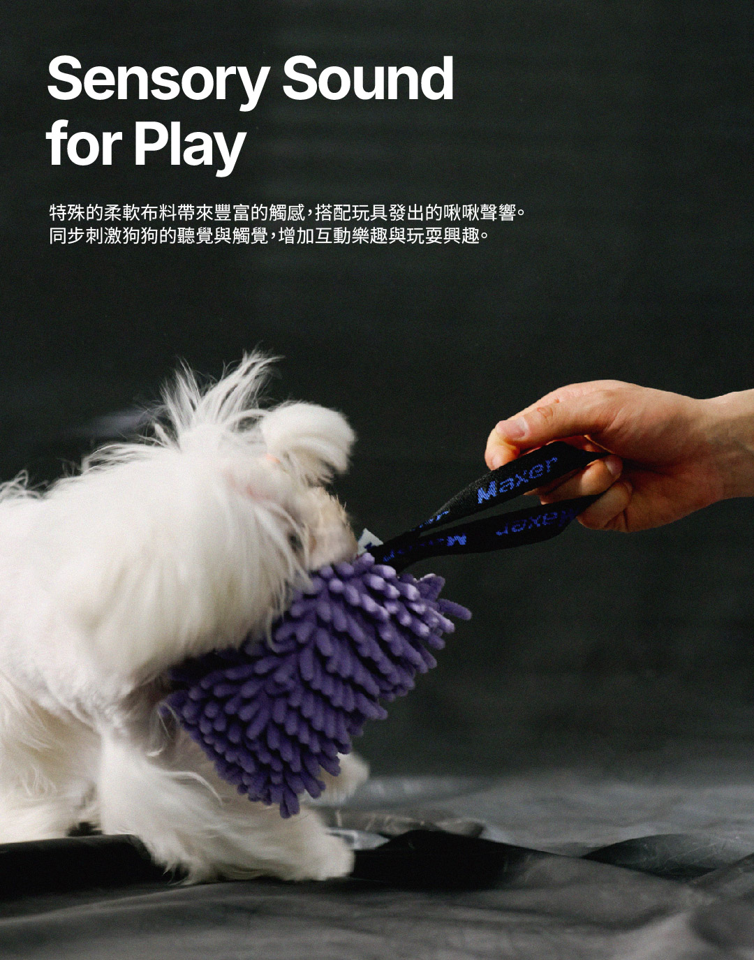 product image_7_Purple