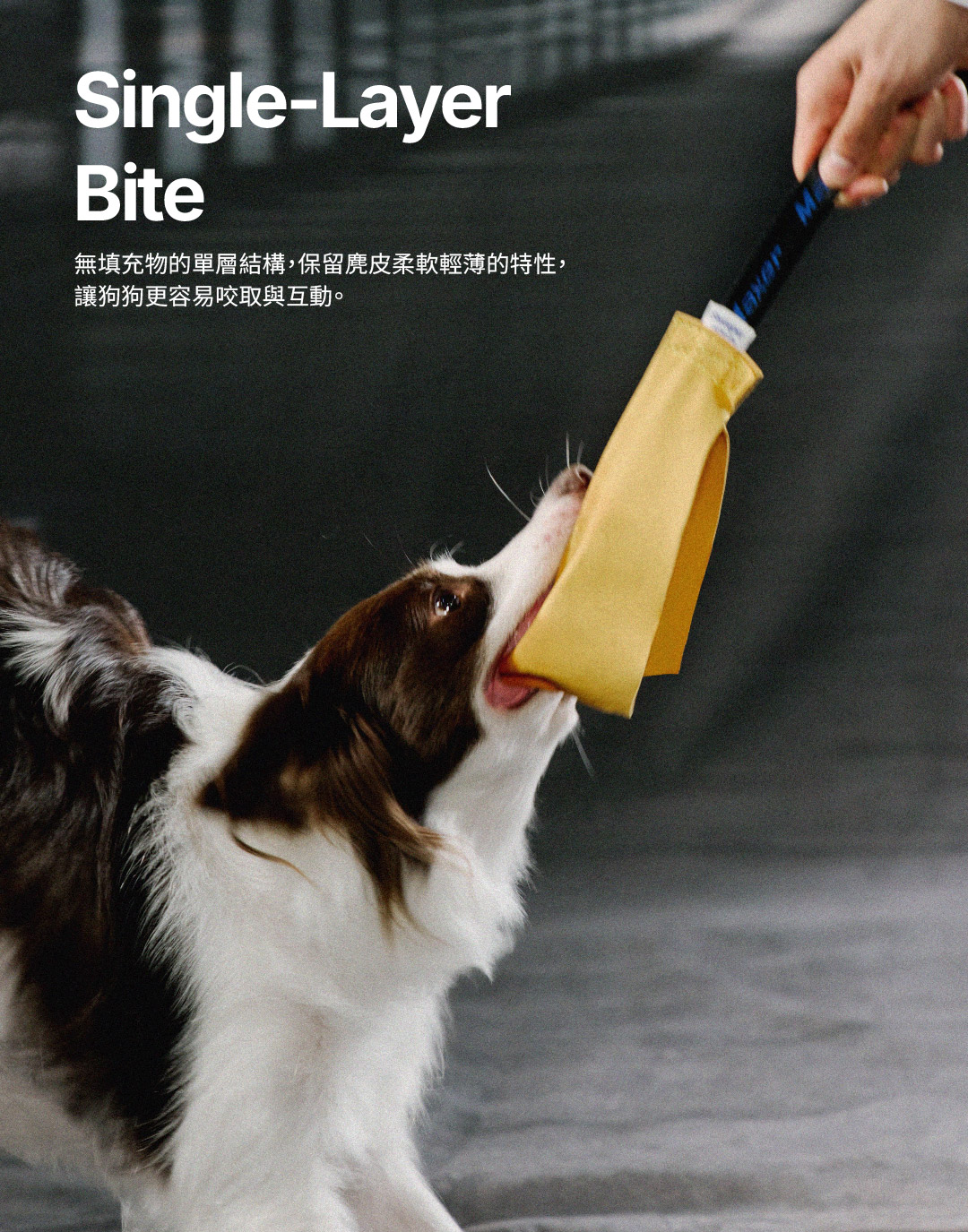 product image_6_YE