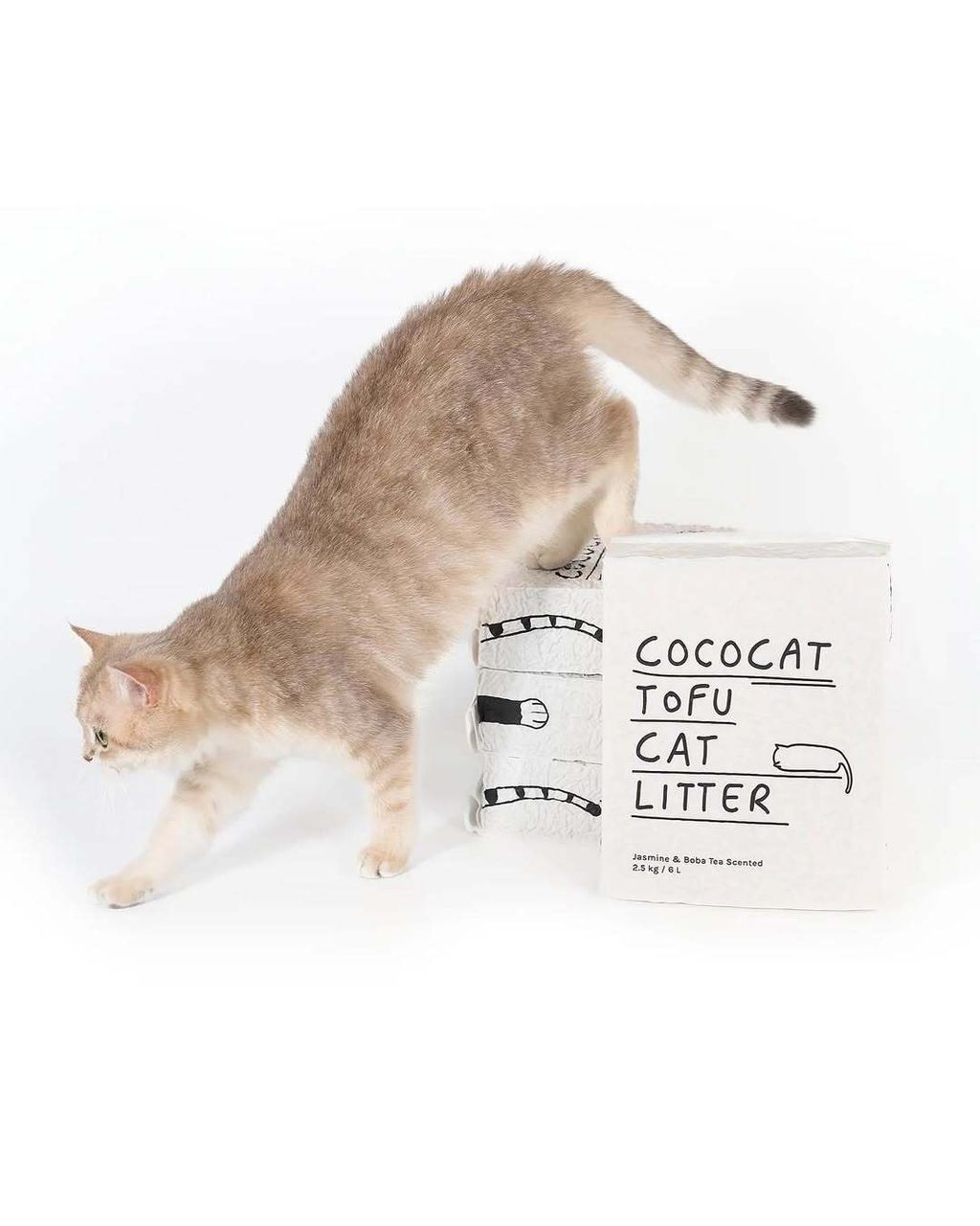 SnapInsta.to_459395906_554562046909525_2136612382980106214_n