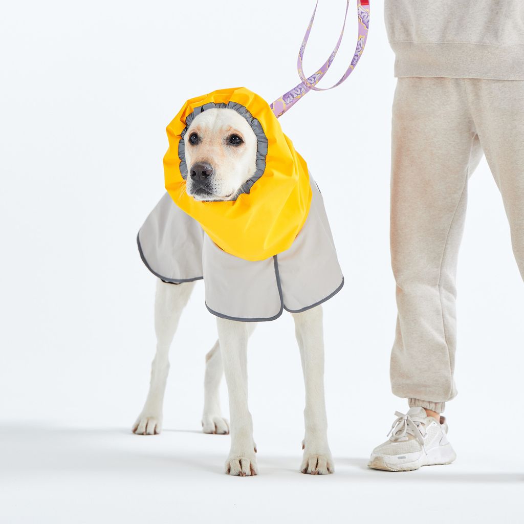 raincoat_2