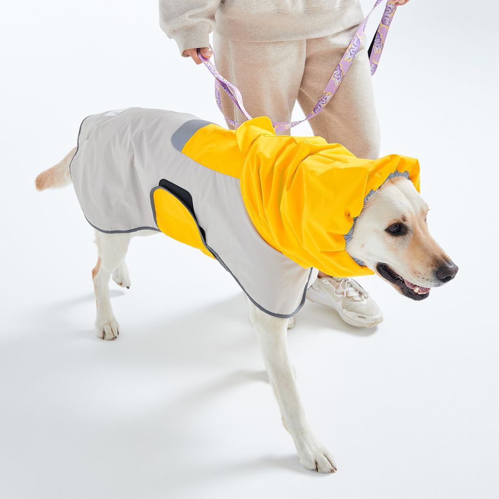 raincoat_3