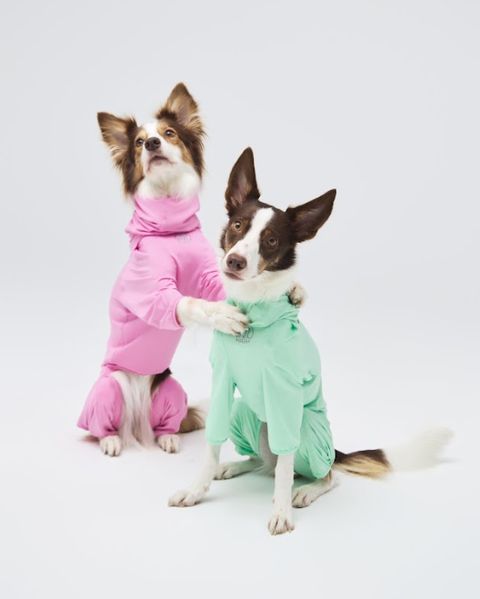 螢幕擷取畫面 2026-04-13 151358