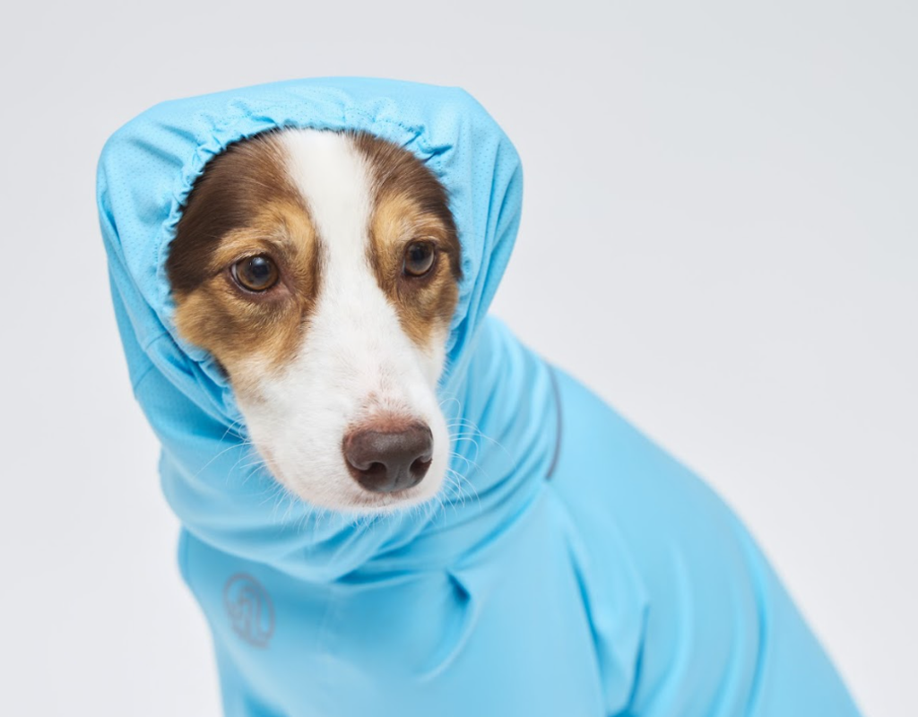 螢幕擷取畫面 2026-04-13 151349