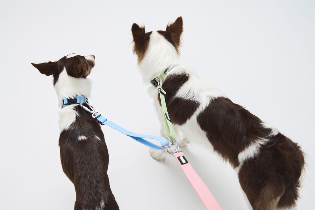 Hik-end Waterproof Traffic Leash3