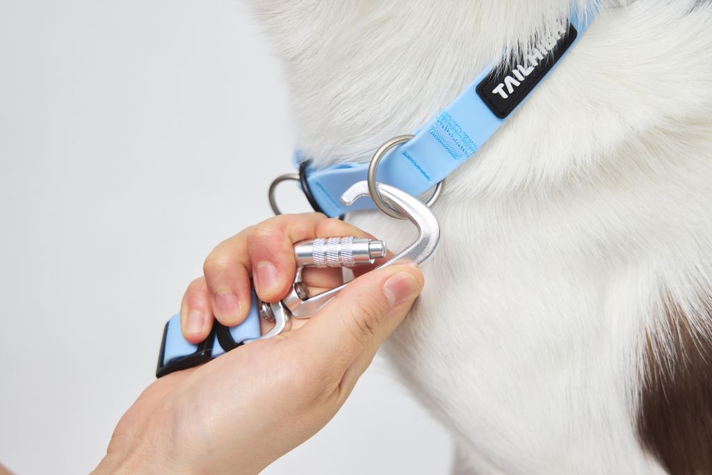 Hik-end Waterproof Traffic Leash2