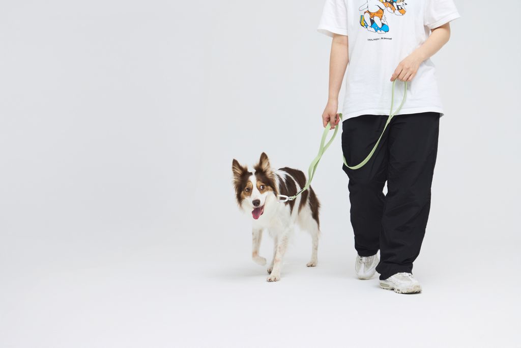 Hik-end Waterproof Leash2