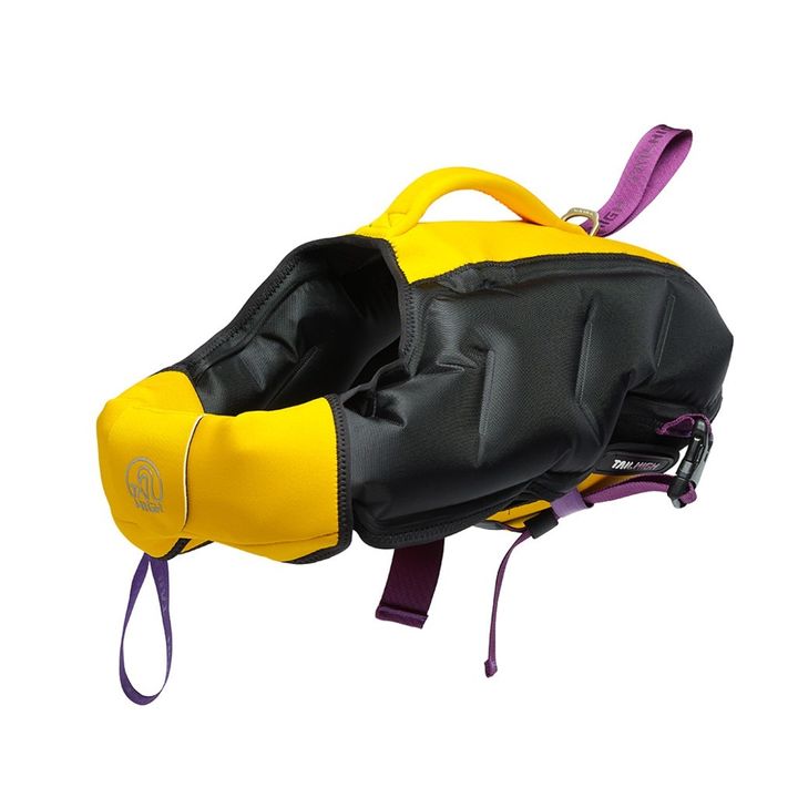 Inflatable Dog Wetsuit1