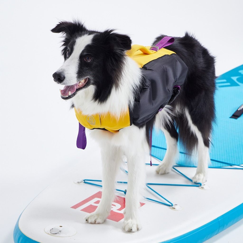 Inflatable Dog Wetsuit