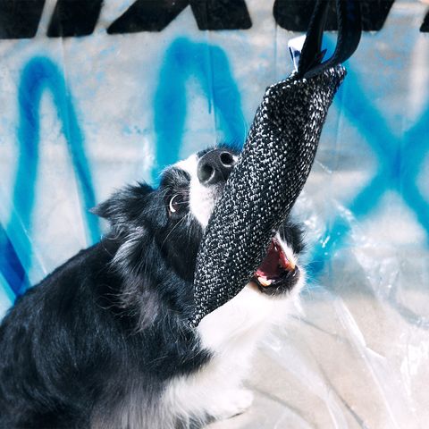one handle tug 15D_black02
