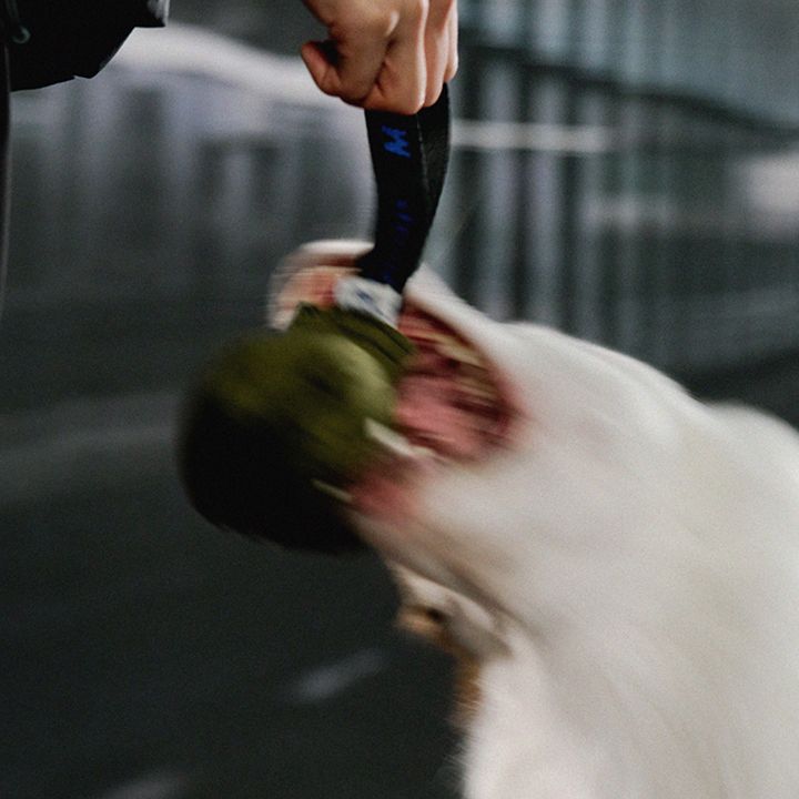 gn02