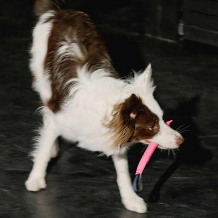 pink02