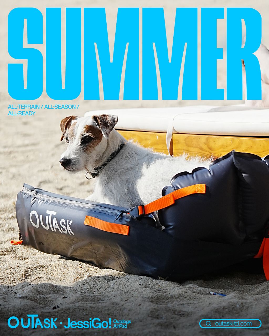 SaveClip.App_488195830_122203515050088570_519546917586845424_n