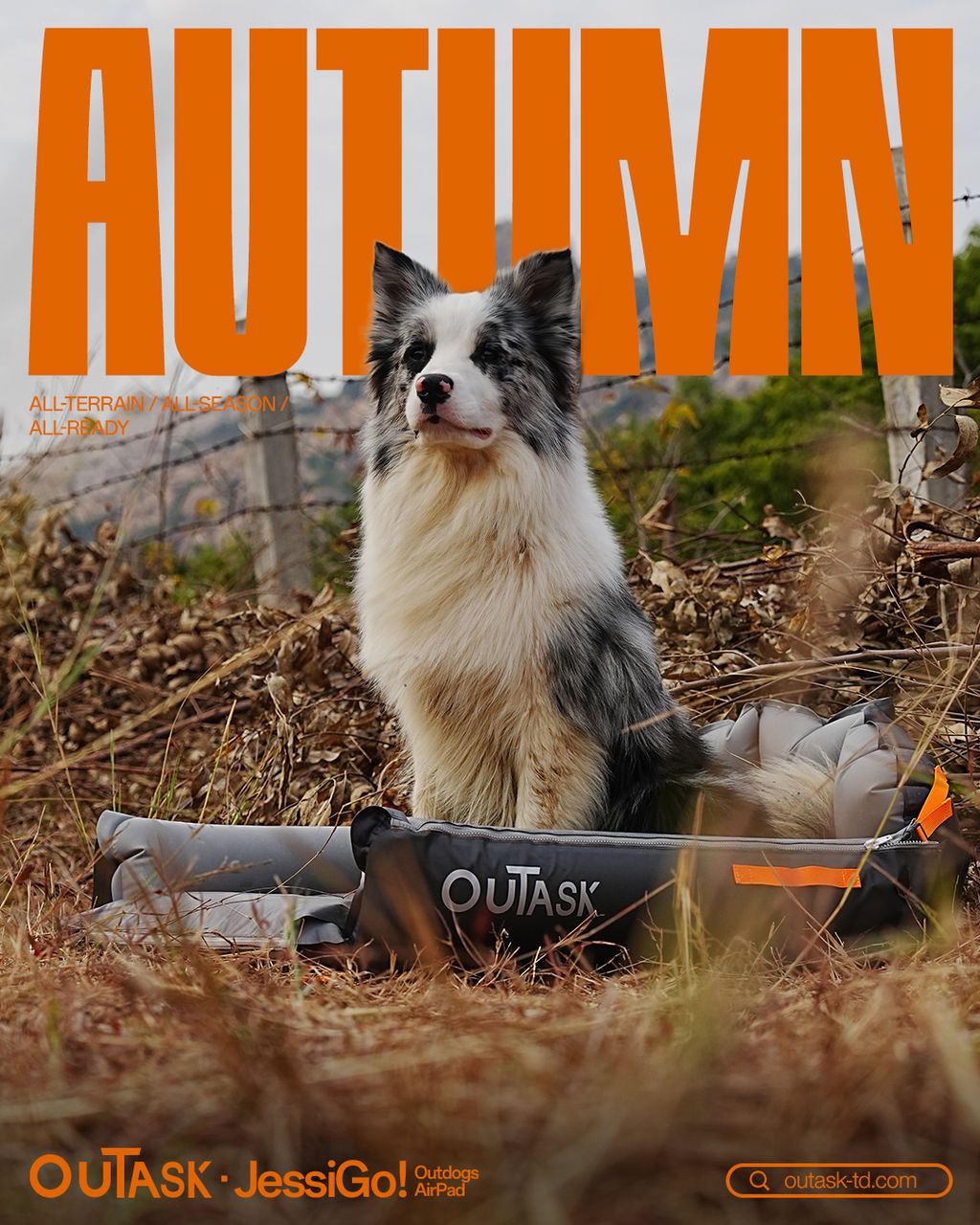 SaveClip.App_488366685_122203515044088570_1504881217200395799_n