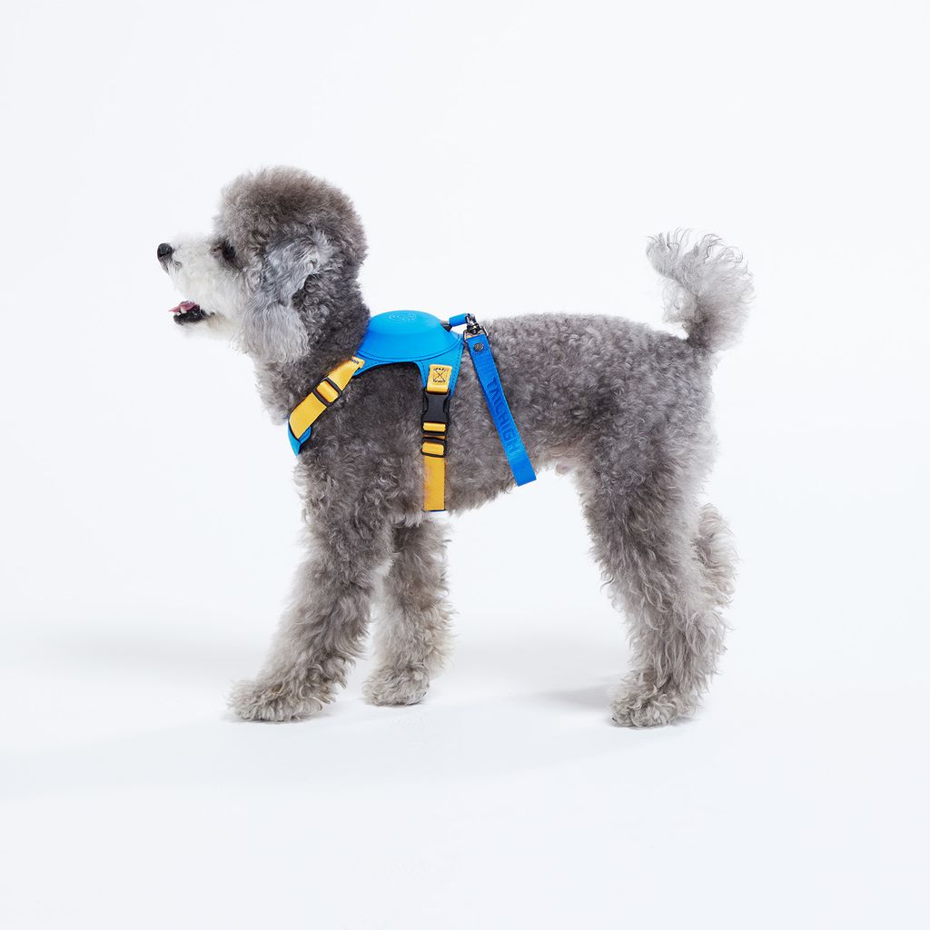 Hybrid_Harness_BL_06