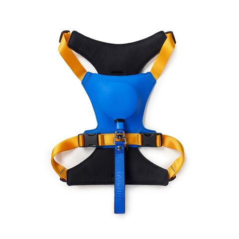 Hybrid_Harness_BL_02