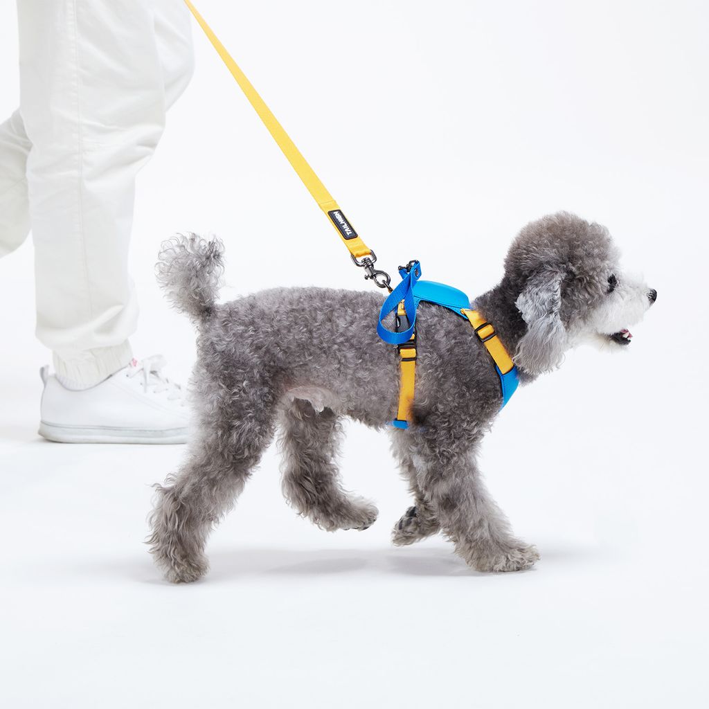 Hybrid_Harness_BL_07