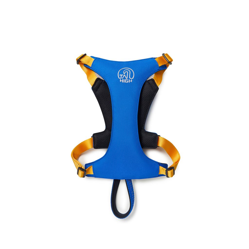 Hybrid_Harness_BL_03