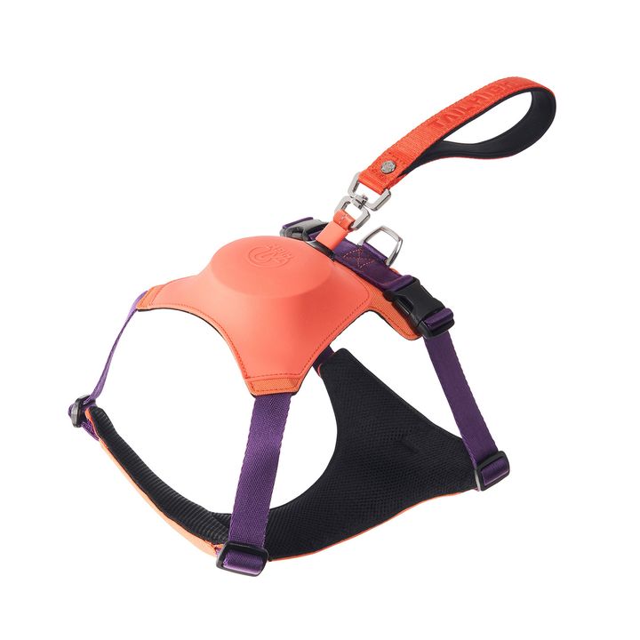 Hybrid_Harness_PK_01