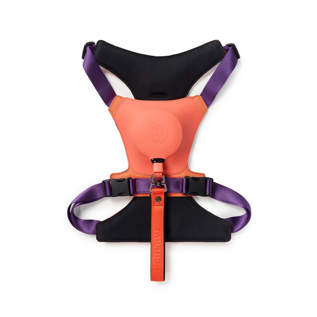Hybrid_Harness_PK_02