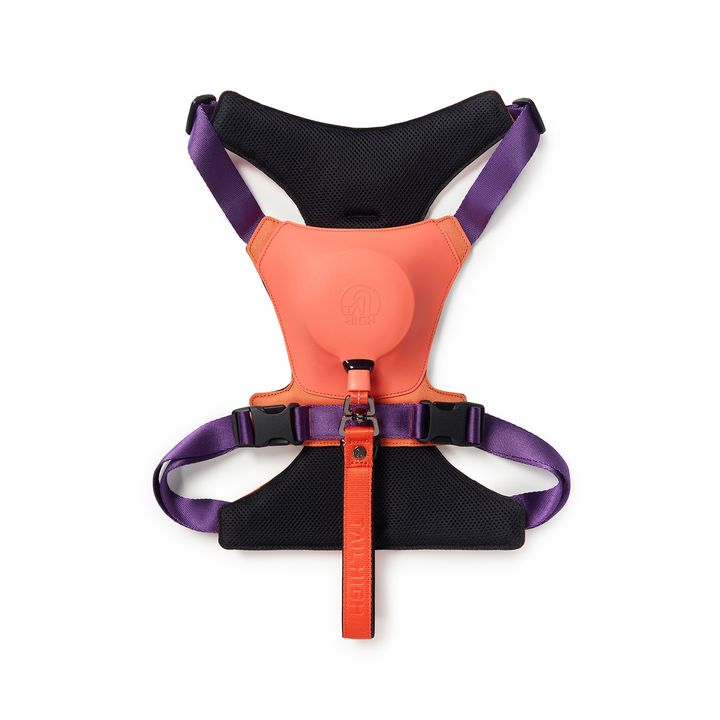 Hybrid_Harness_PK_02