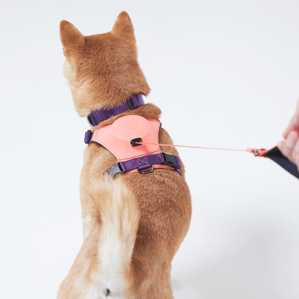 Hybrid_Harness_PK_07