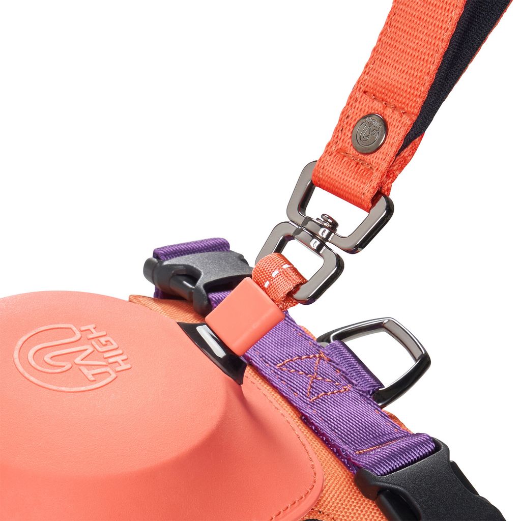 Hybrid_Harness_PK_05