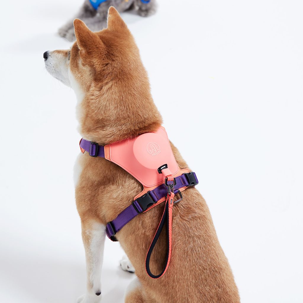 Hybrid_Harness_PK_06