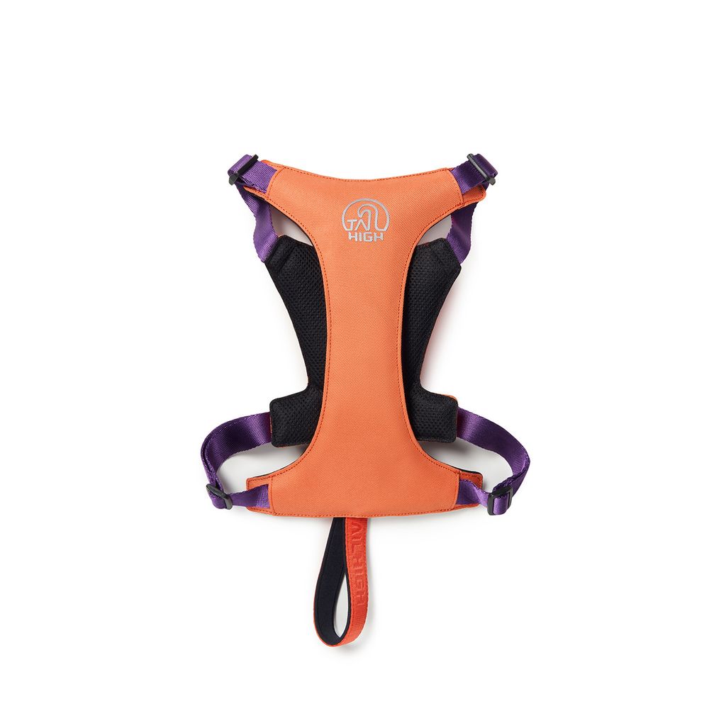 Hybrid_Harness_PK_03