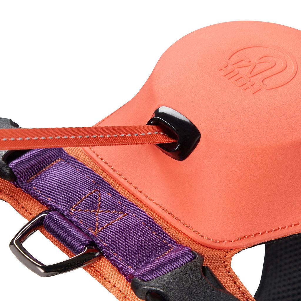 Hybrid_Harness_PK_04