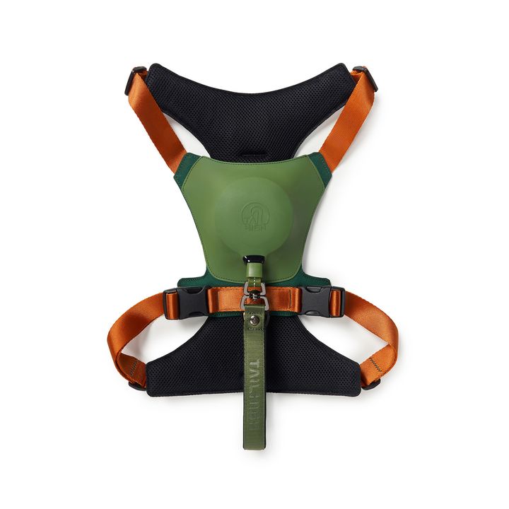 Hybrid_Harness_GN_02