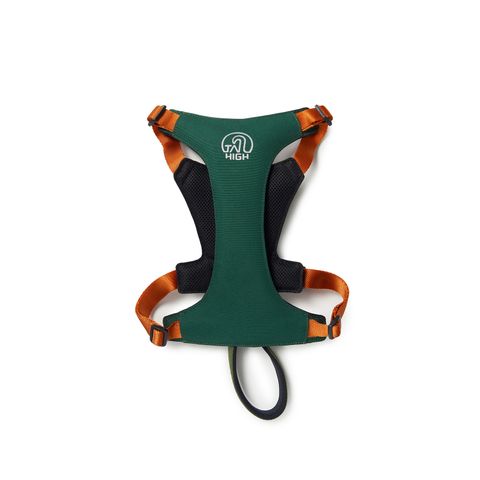 Hybrid_Harness_GN_03