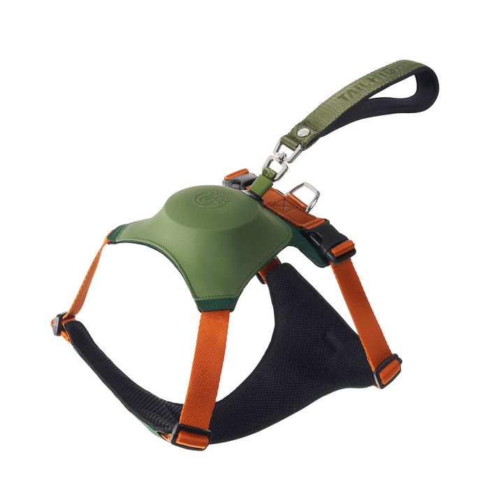 Hybrid_Harness_GN_01