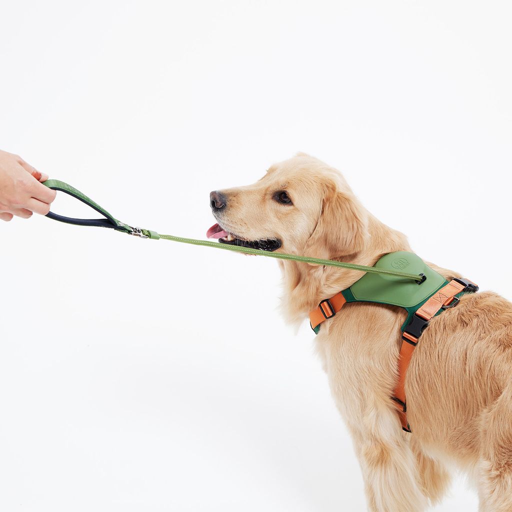 Hybrid_Harness_GN_07