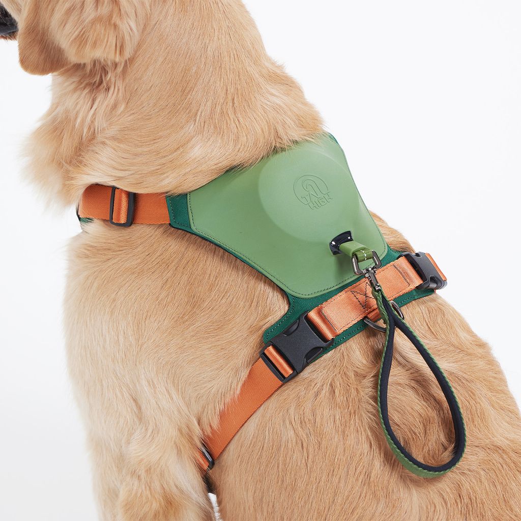 Hybrid_Harness_GN_06